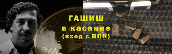 крисы Богородицк