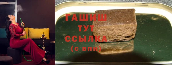 крисы Богородицк