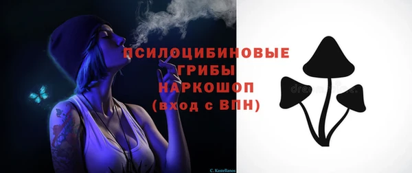 марки nbome Богданович