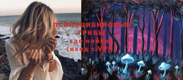 PSILOCYBIN Богородск