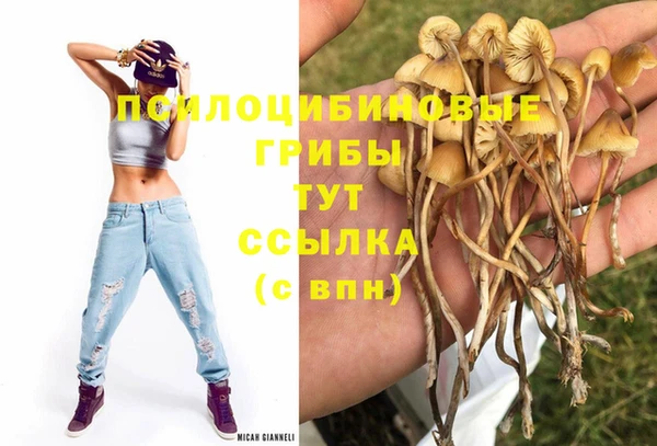 PSILOCYBIN Богородск