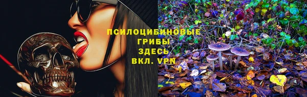 гашик Белоозёрский
