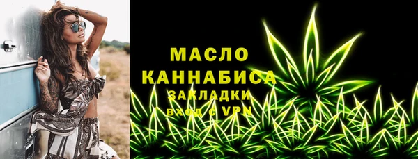 крисы Богородицк