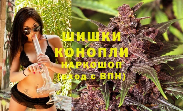 PSILOCYBIN Богородск