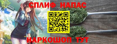 спиды Бердск