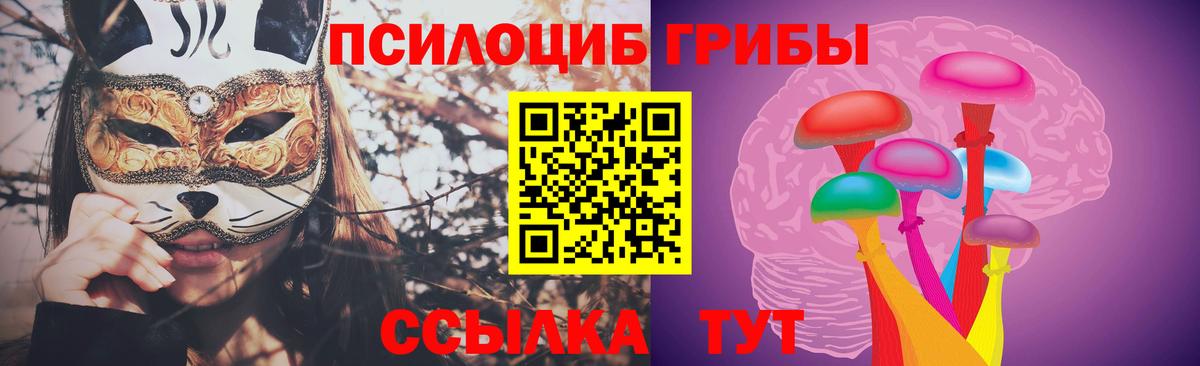 Бузулук  Псилоцибиновые грибы Cubensis  Вход с VPN  Галлюциногенные грибы MAGIC MUSHROOMS 